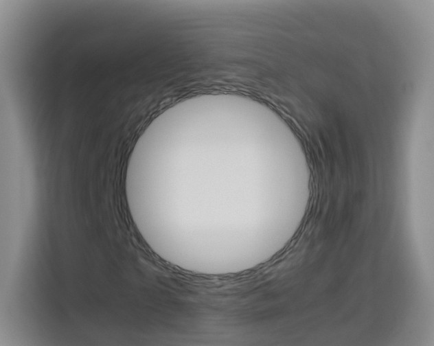 X0000114060865200910050953