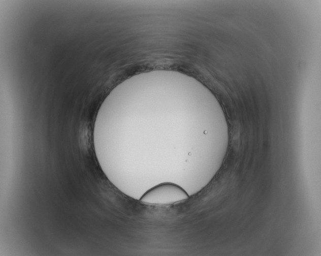 X0000114060866200910050953