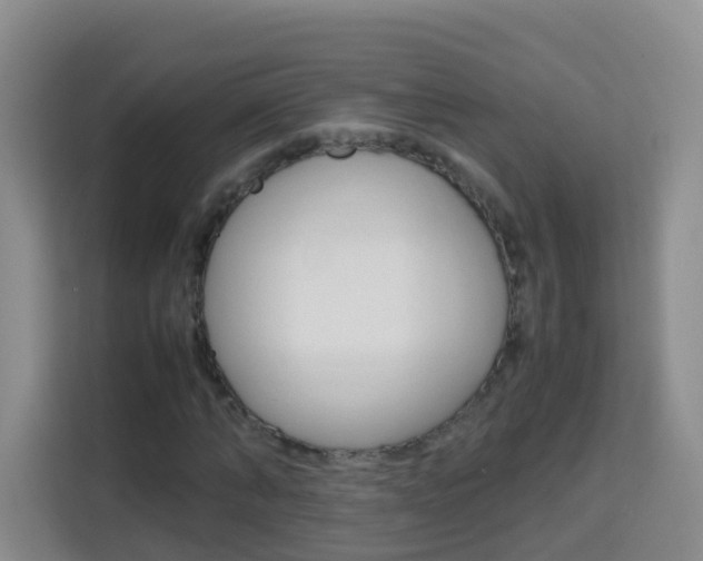 X0000114060870200910050953