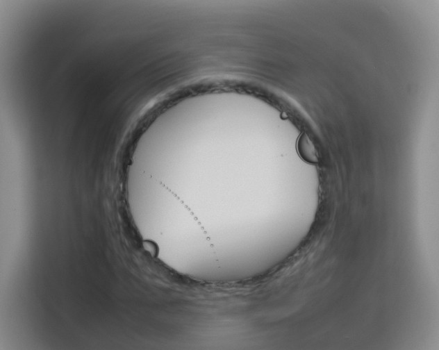 X0000114060871200910050953