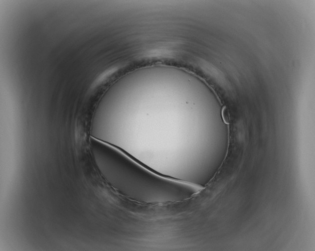 X0000114060872200910050953