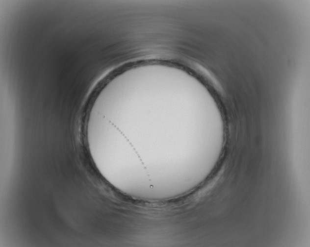 X0000114060875200910050953