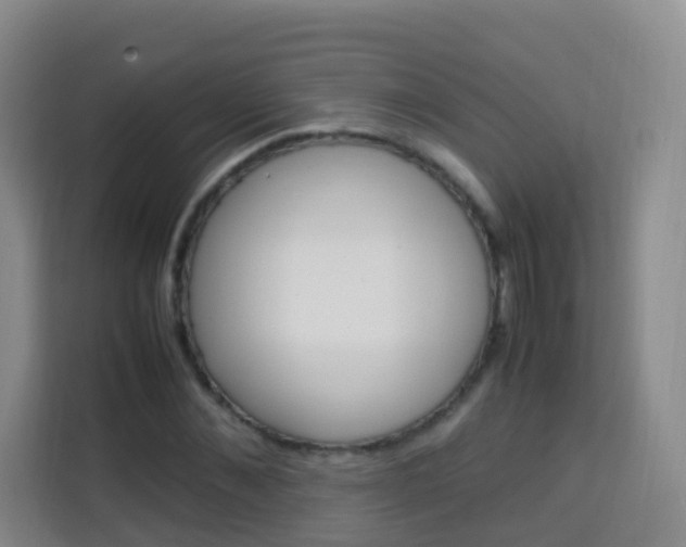 X0000114060876200910050953