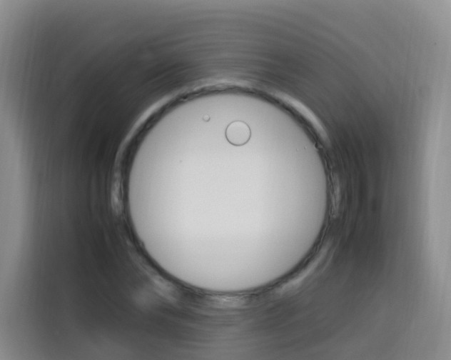 X0000114060878200910050953