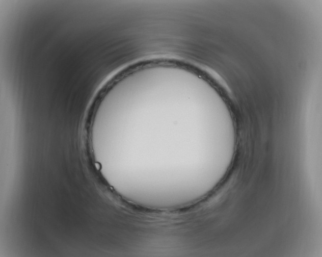 X0000114060879200910050953