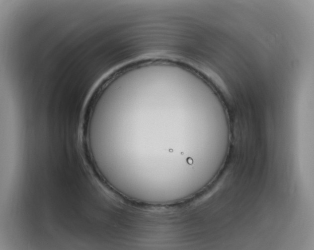 X0000114060880200910050953