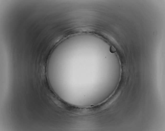 X0000114060881200910050953