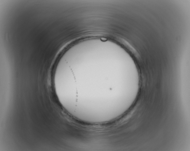 X0000114060883200910050953