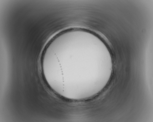 X0000114060887200910050953