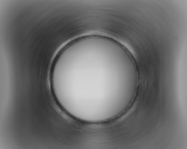 X0000114060888200910050953