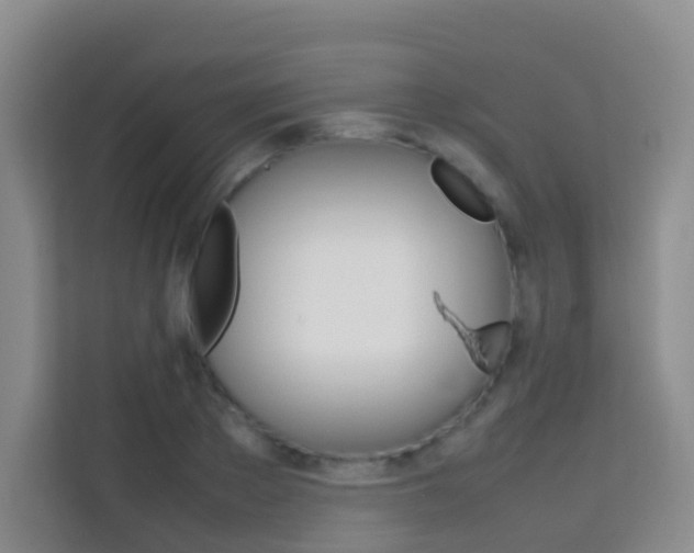 X0000114060889200910050953