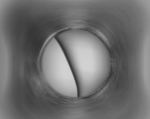 X0000114060891200910050953