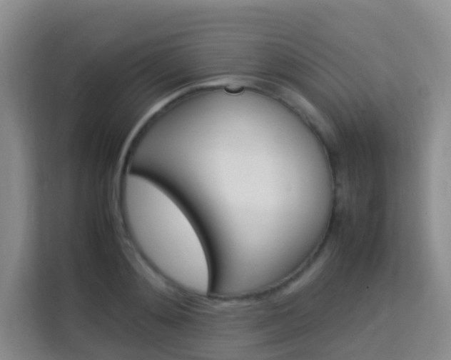 X0000114060892200910050953