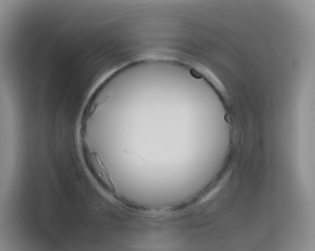 X0000114060893200910050953