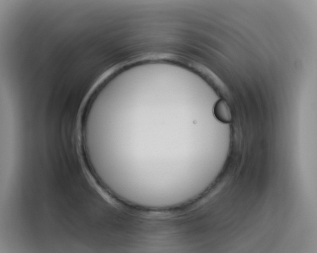 X0000114060894200910050953