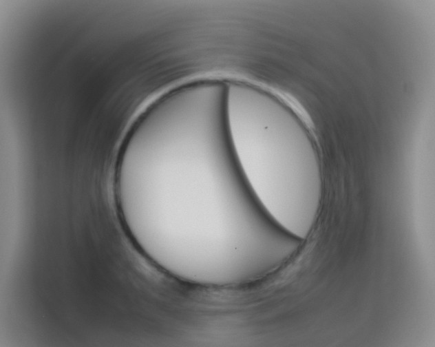 X0000114060895200910050953