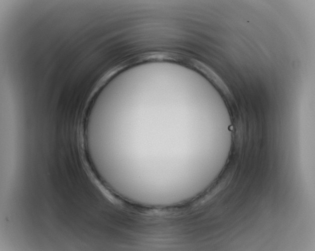 X0000114060898200910050953