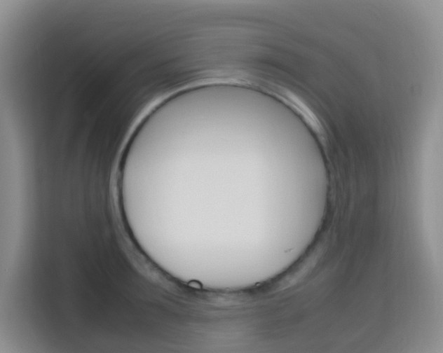 X0000114060899200910050953