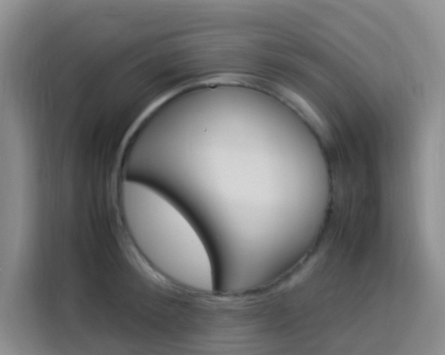 X0000114060900200910050953