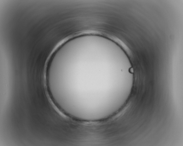 X0000114060902200910050953