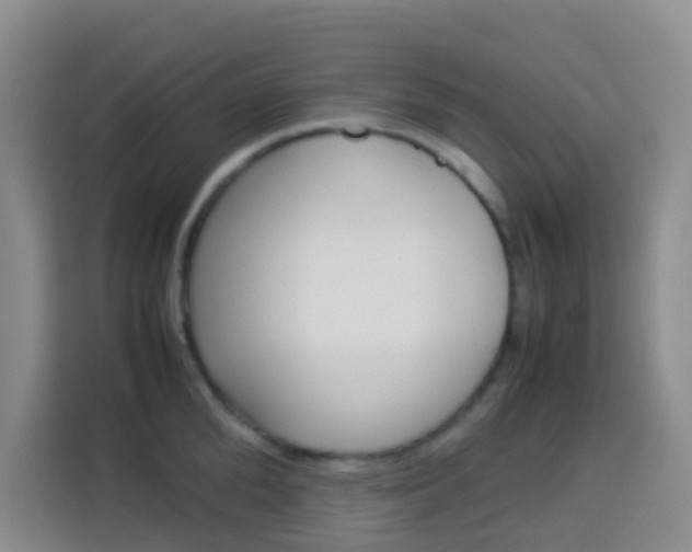 X0000114060904200910050953
