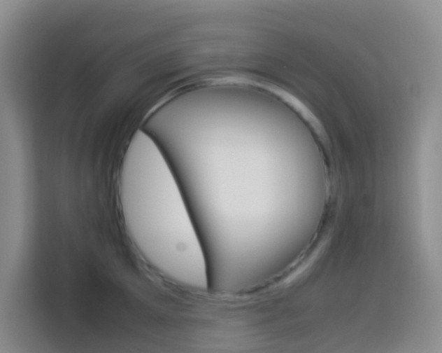 X0000114060905200910050953