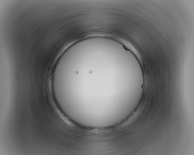 X0000114060906200910050953