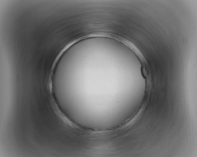 X0000114060908200910050953