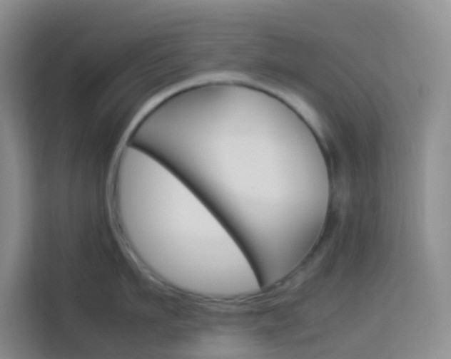 X0000114060911200910050953