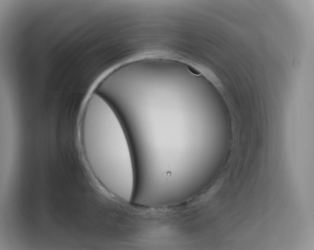 X0000114060912200910050953