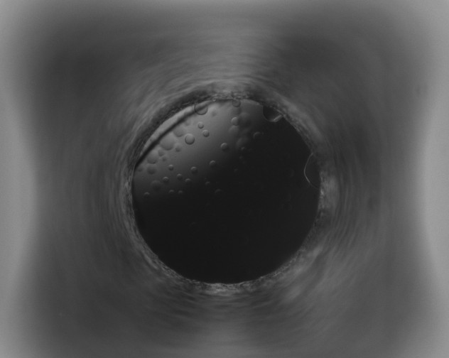 X0000114060913200910050952