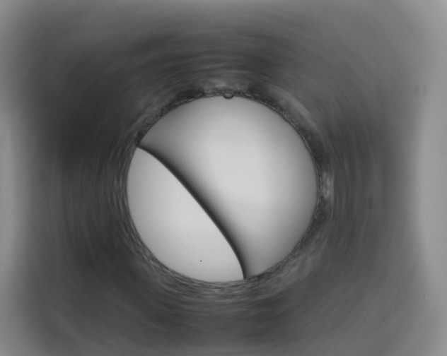 X0000114060915200910050952