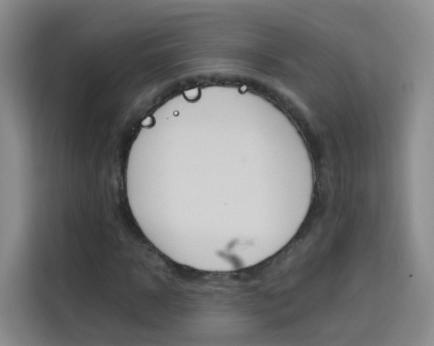 X0000114060918200910050952