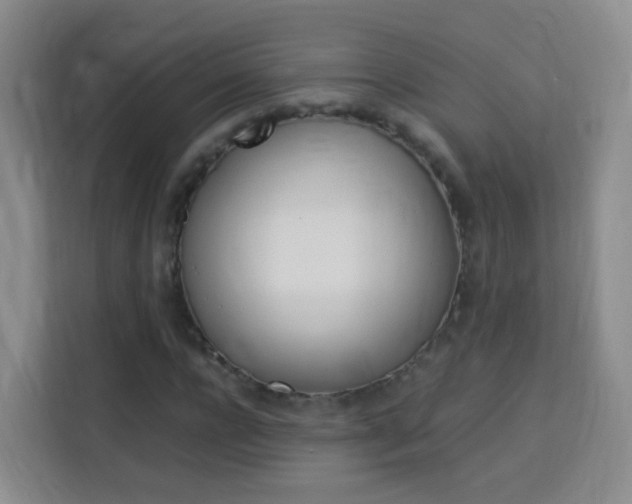 X0000114060920200910050952