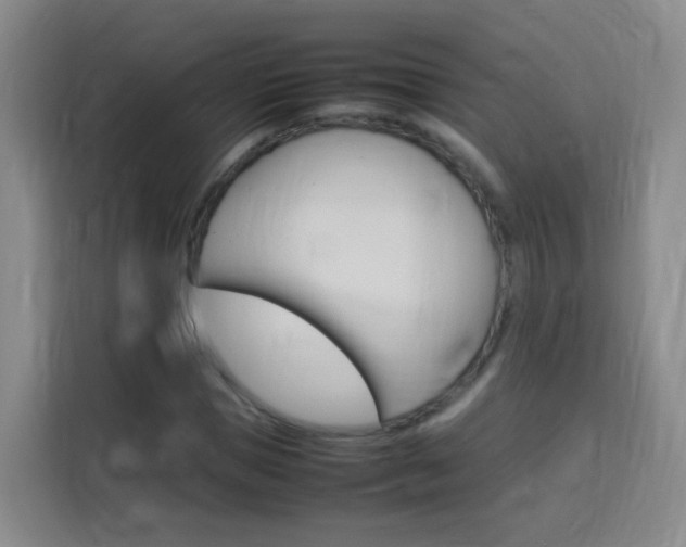 X0000114060921200910050952