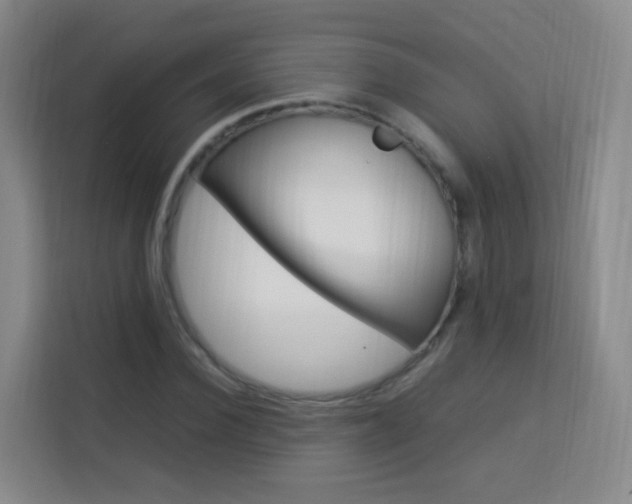 X0000114060924200910050952