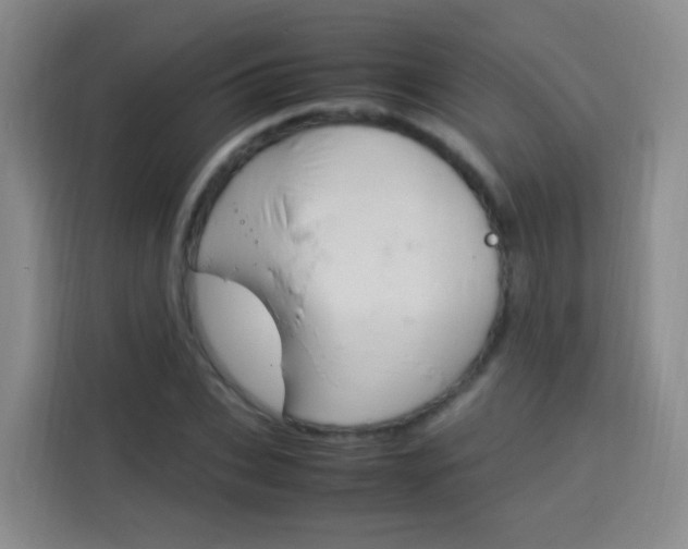 X0000114060927200910050952
