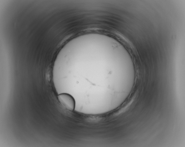 X0000114060929200910050952