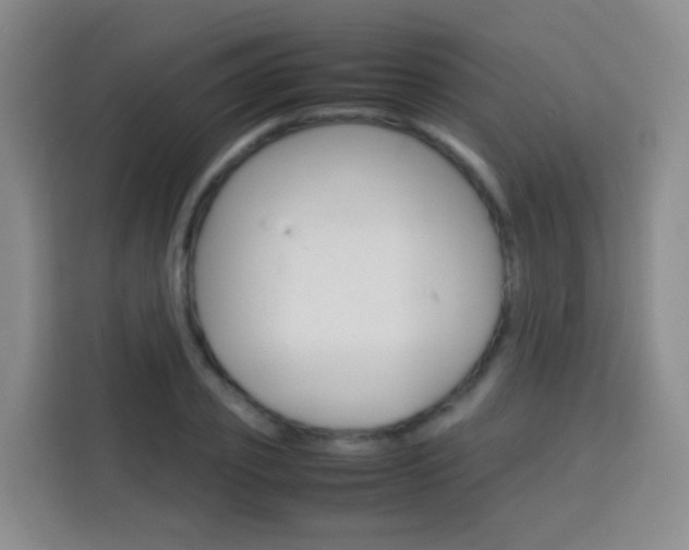 X0000114060933200910050952