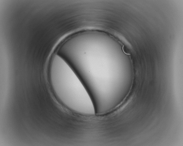 X0000114060934200910050952