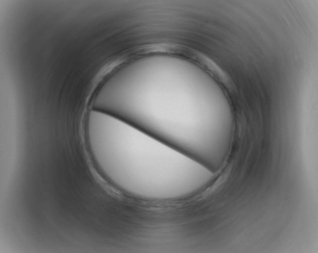 X0000114060938200910050952