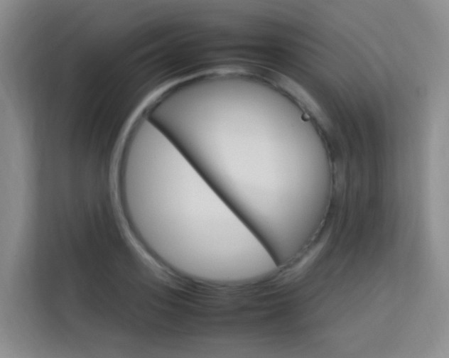 X0000114060939200910050952