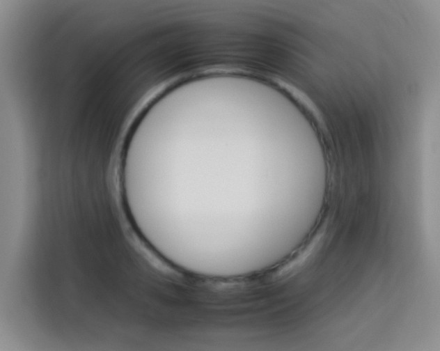 X0000114060941200910050952