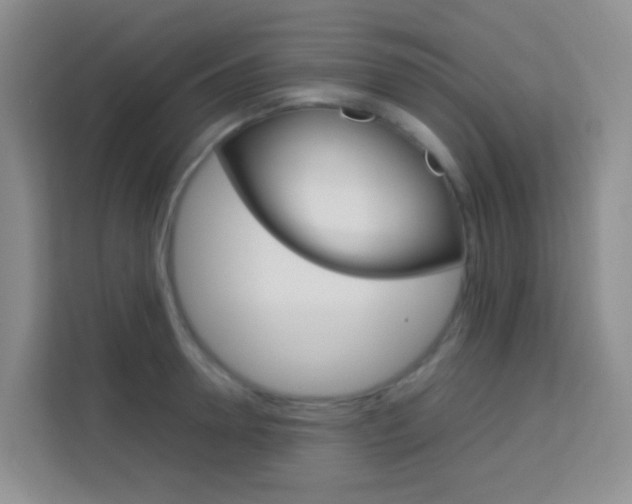 X0000114060946200910050953