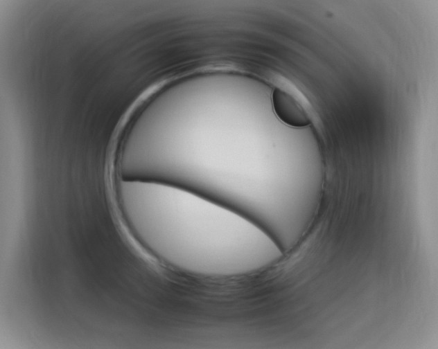 X0000114060947200910050953