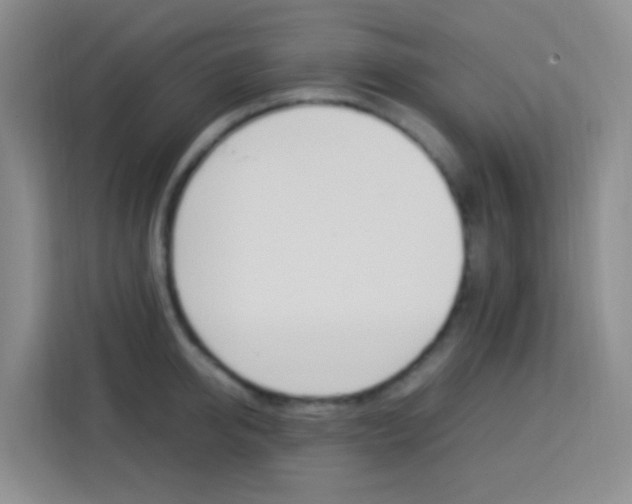 X0000114060950200910050953