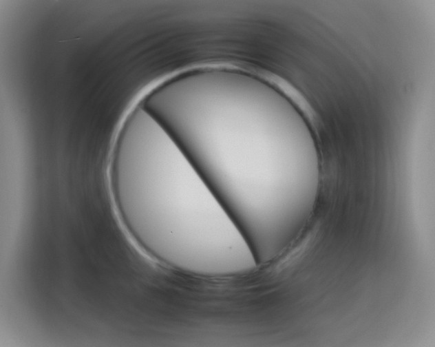 X0000114060951200910050953