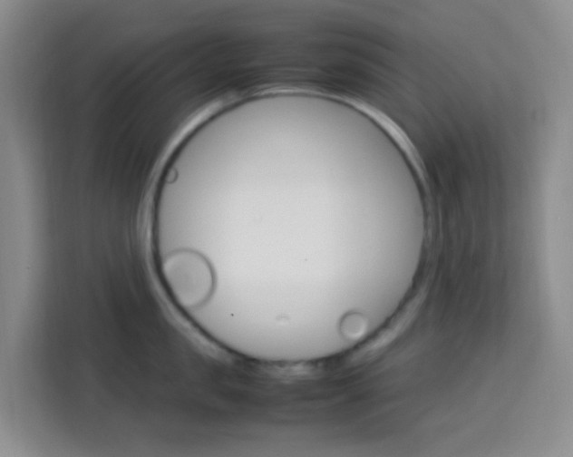 X0000114060957200910050953