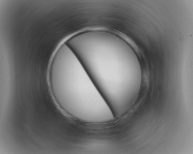 X0000114060959200910050953