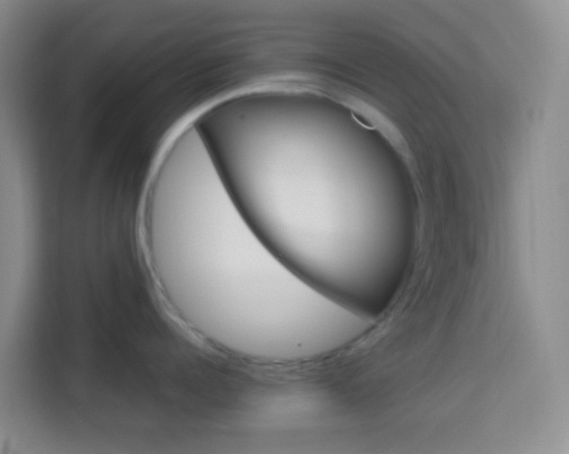 X0000114060960200910050953